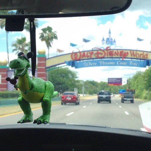 Daily routine&hellip; (at Disney&rsquo;s Typhoon Lagoon)