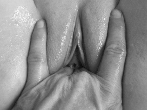 Nipples