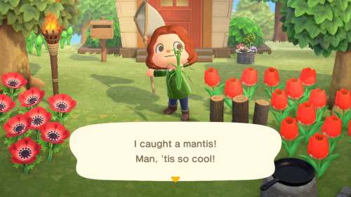 I would SCREAM if I saw a mantis that big irl, can’t wait until I show it to Blathers :–