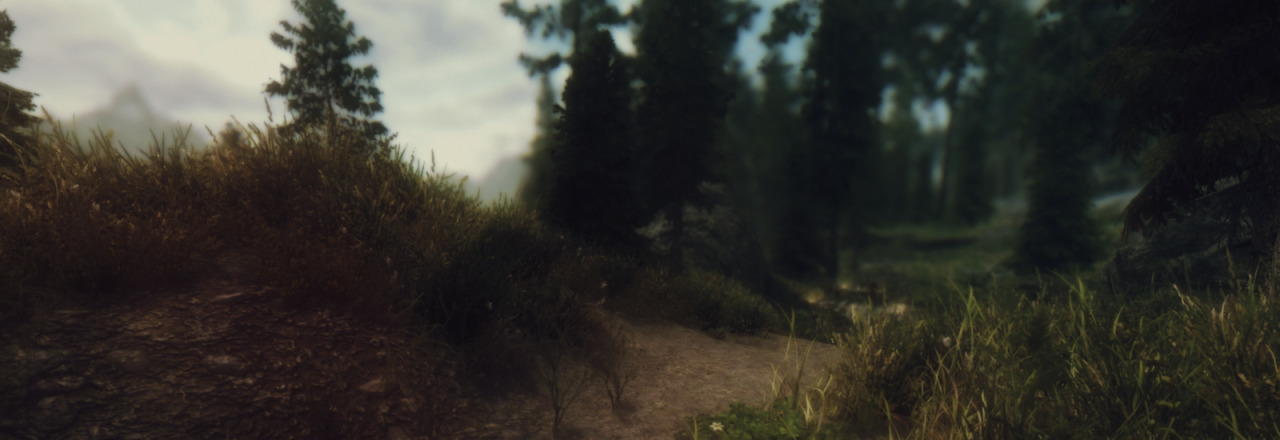 ofmiceandmystics:  Skyrim | A Walk in the Woods   Mods my friends