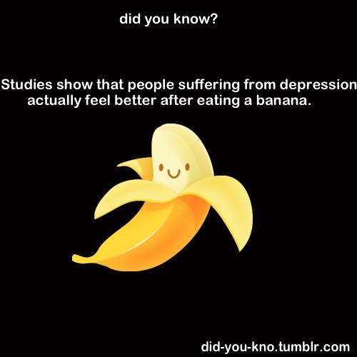 handsomecaptainofsassiness:  lumos5001:  which is why Nine loved banana’s so much…   Because..  