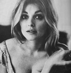  Sharon Tate by Tony Grylla 