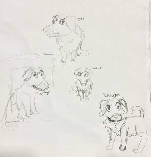 Some Sketches For A Homophobic Dog-inspired Ych I Plan On Doing For Pride! They Would Be Digital Drawings