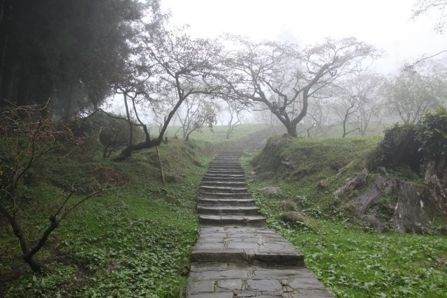 dampmoss:  ()