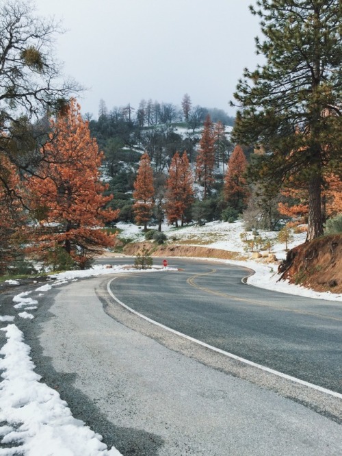 March 2016 - Sequoia National ForestRequest a Print   |   Buy Other Prints