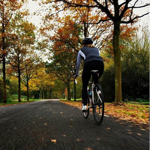 humandotco:  Remembering a bike ride outside the city through a colorful park just a few weeks back.