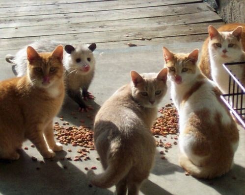 malocclusive:  The kinda squad I want 
