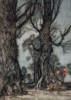 thewoodbetween:  Arthur Rackham - Trees &