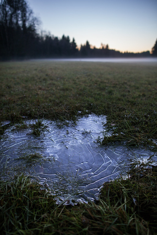 p-lanetoid:  (by ~ Jonathan ~) 