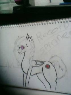 theboomboxpegasister:  love-cream-ale:  ask-recordspinner:  Skethcing pics at home right now,first 20 to reblog with their OC will get drawn     Could I have my OC drawn?