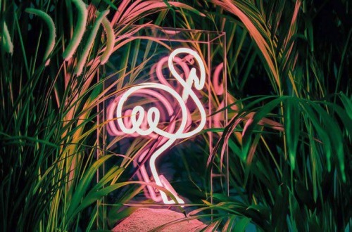 dwnsy:Neon Inspiration