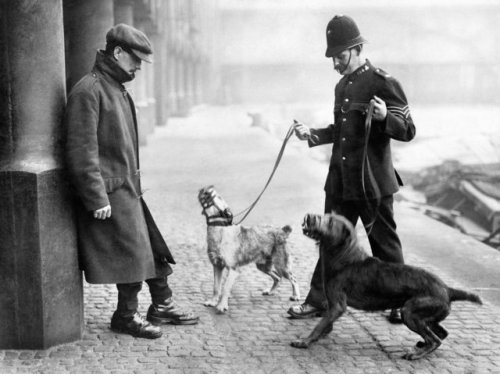 March 9, 1924 - In England, police dogs assisted in the...