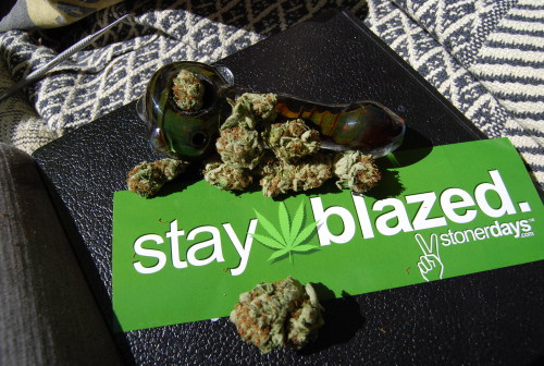 royallyoily:  stonerdays 