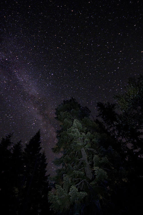 sublim-ature:  Rogue (Ben Anderson)