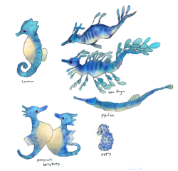 inkdops:  dunno if this one’s been done yet but horsea/evolution variations