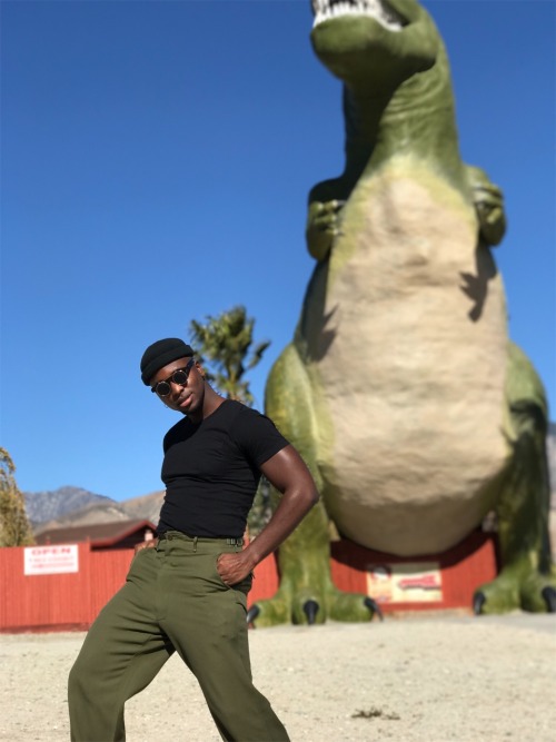 blackgayze:Dinotastic