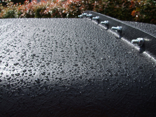 Drops
