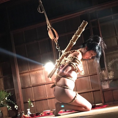 thevertigonetwork:Kinbaku Naka AkiraModel Marica Hase