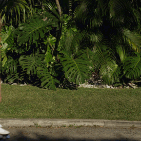 sunglasshut:   DAY 74 ROLL WITH IT Getting geared up for a bike ride, or lacing up your skates? However you plan to roll this summer, send us a pic of you doing it in style. #94ShadesOfSummer 