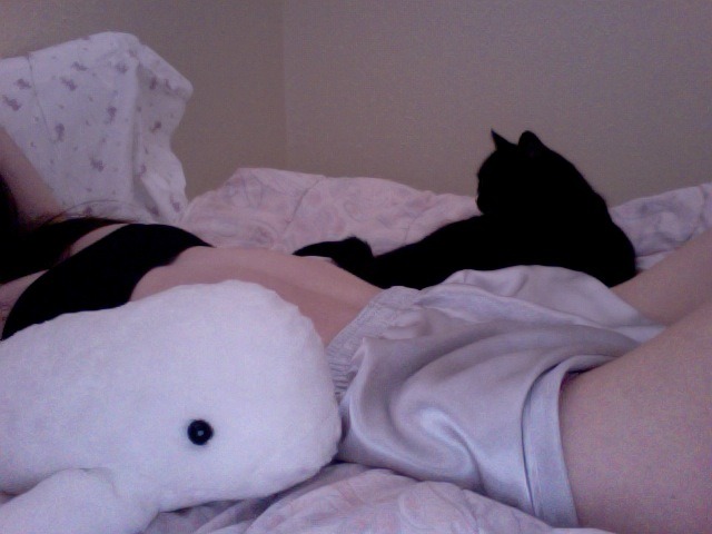 mysisterwaspale:  pale babes here 