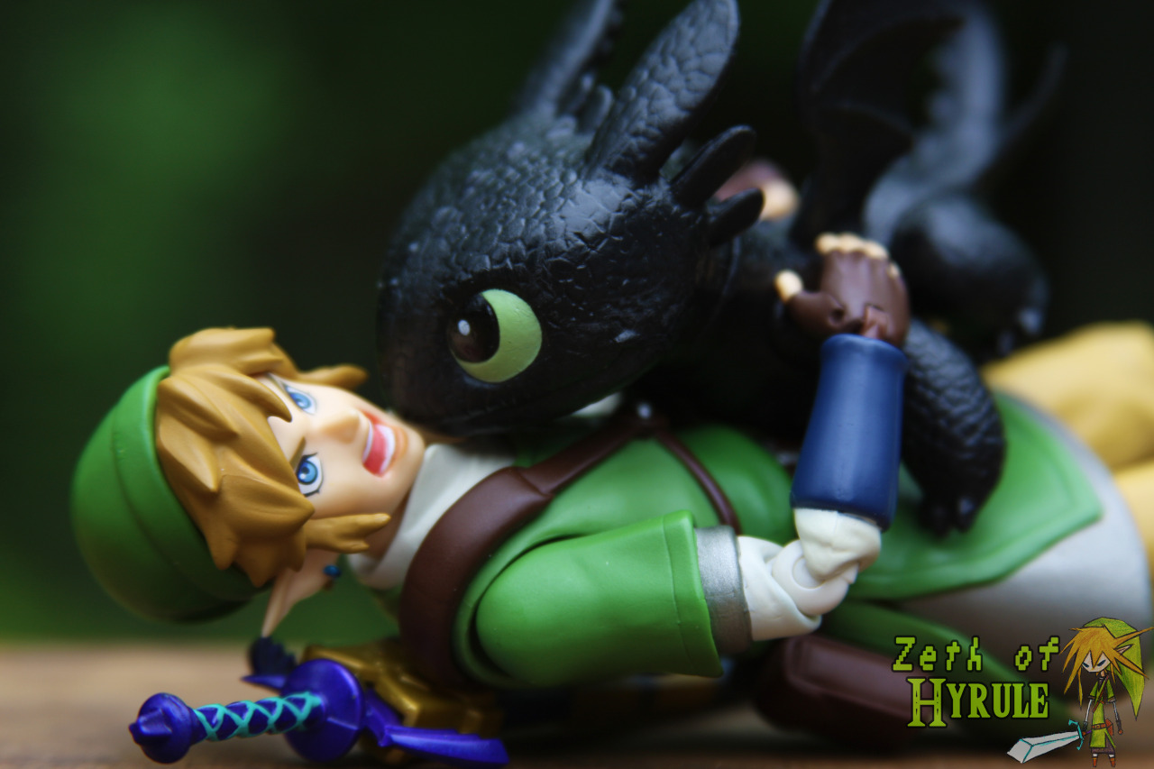 zethofhyrule:  How To Train Your Toothless! because Night Furies are cooler than