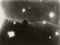 dame-de-pique:Mount Wilson Observatory - Horsehead Nebula (Barnard 33), 13/11/1920