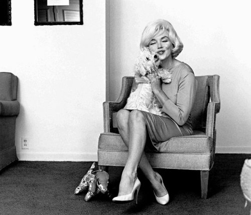 infinitemarilynmonroe - Marilyn Monroe and her beloved Maf...