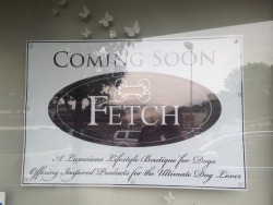 We did it everyone. We finally made Fetch