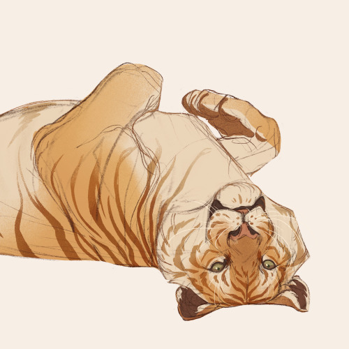 I’ve used my time as best as I could and drew The World’s Best Big Cats. Lazy burrito cats