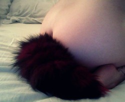 hislittlebrat:  bunnysdelight:  [ happy fox noises ]   I LOVE THIS TAIL!! It’s cuter than mine, what the hell.