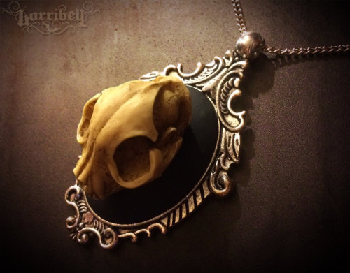 Cat Skull Necklace // Gothic Necklace // Taxidermy Jewelry // Cat Necklace // Cat Jewelry // Taxider