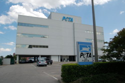 silent-isviolent: angel:   “People for the Ethical Treatment of Animals (PETA) is an organization that publicly claims to represent the best interest of animals – indeed their “ethical treatment.” Yet approximately 2,000 animals pass through PETA’s