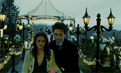 sourdirewolf:  Twilight Challenge [1/30] | Favorite book;  Twilight 