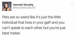 burned-toast:from /r/scottishpeopletwitter: scottish tweets as picked out by a scottish person  i love when people write in their accents