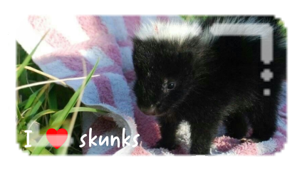 i heart skunks stamp