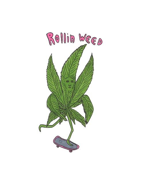 alone-in-the-clouds:  Transparent  Rollin Weed 