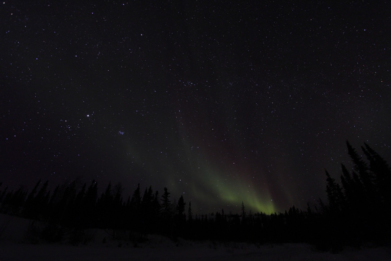 atraversso:  Aurora Boreals  by Emrold    Please don’t delete the link to the photographers/artists,