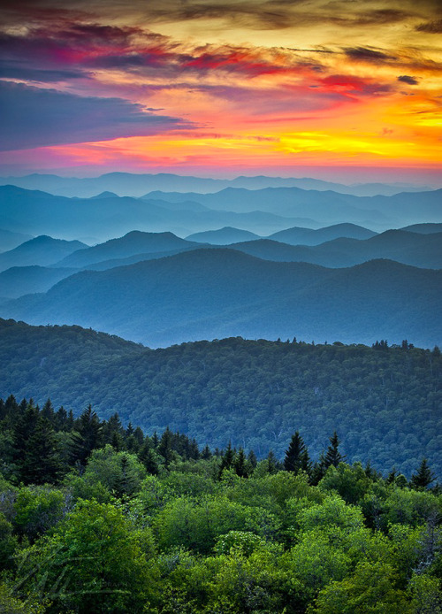 coiour-my-world:Blue Ridge Parkway, Appalachian Mountains, North Carolina