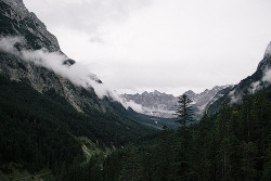 eartheld:  nuhstalgicsoul:  danielodowd:  Karwendel #1 by hannahschmucker on Flickr  nature  mostly nature