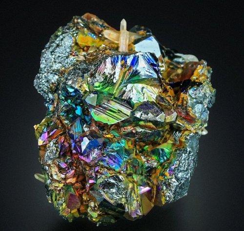 geologyin-blog:Fantastic iridiscent Hematite wih tiny quartz crystals from Rio Matina, Elba Island, 