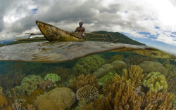 awkwardsituationist:  photos by sterling zumbrunn in raja ampat, indonesia  