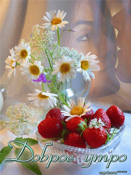 af09678e4e2ba56e523d9f6dbdb3390ca8eacfdd