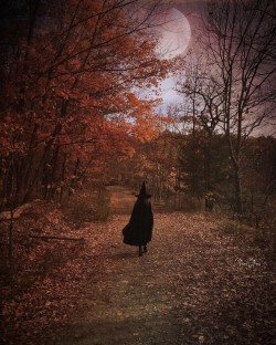 syntacked:Halloween | Witches | Fall 