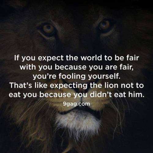 #if #you #expect #the #world #to #be #fair , #youre #fooling #yourself . #thats #like #expecting #th