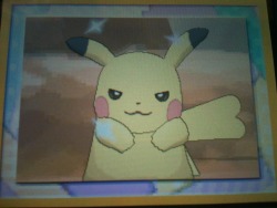 anmeichan:  I ACCIDENTALLY GOT THE THUGGEST PICTURE OF PIKACHU 