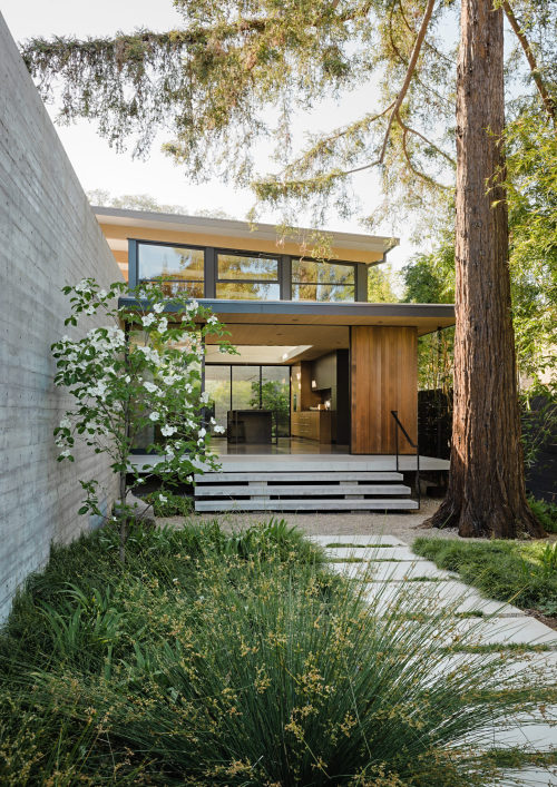 herpaperweight:The Sanctuary by Feldman Architecture