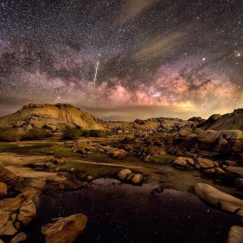 Joshua Tree National ParkLocated just a 2 hour drive east of Los Angeles, this park offers stargazin