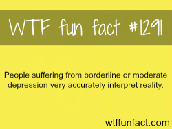 wtf-fun-facts:  MORE OF WTF FACTS are coming HERE  This explains everything.  That&rsquo;s why, when people don&rsquo;t understand what I say or &ldquo;how I got to my conclusion&rdquo;, they tell me I think too much!  But really, like I&rsquo;ve tried