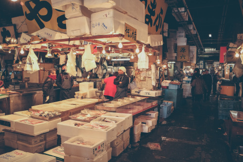 Tsukiji fish market in Tokyo