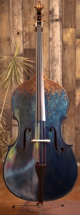 bass-playing-avenger: official-serpent: frettedchordophones: Wulter Bass, refurbished, dyed indigo